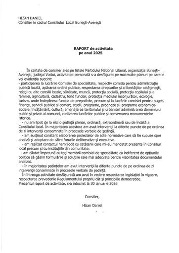 Raport activitate Hizan Daniel anul 2025