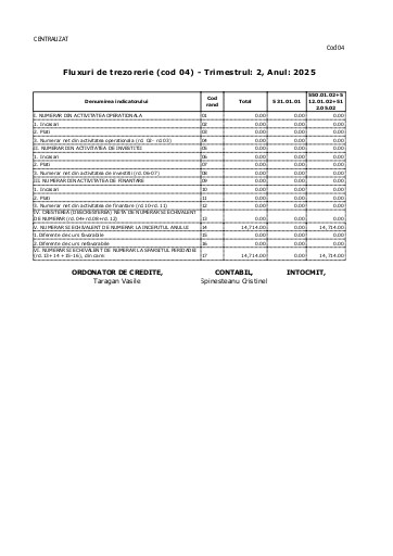 Fluxuri de Trezorerie (cod 04)  30 06 2025
