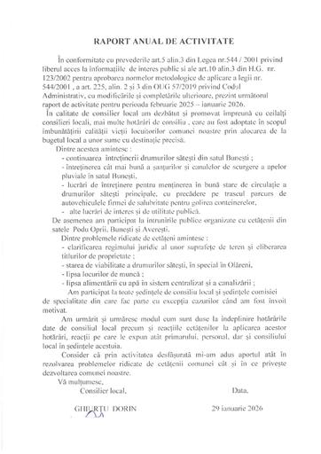Raport activitate ghiurtu Dorin anul 2025