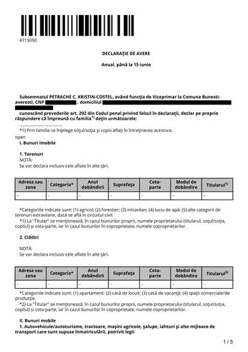 PETRACHE KRISTIN COSTEL   Declaratie de avere